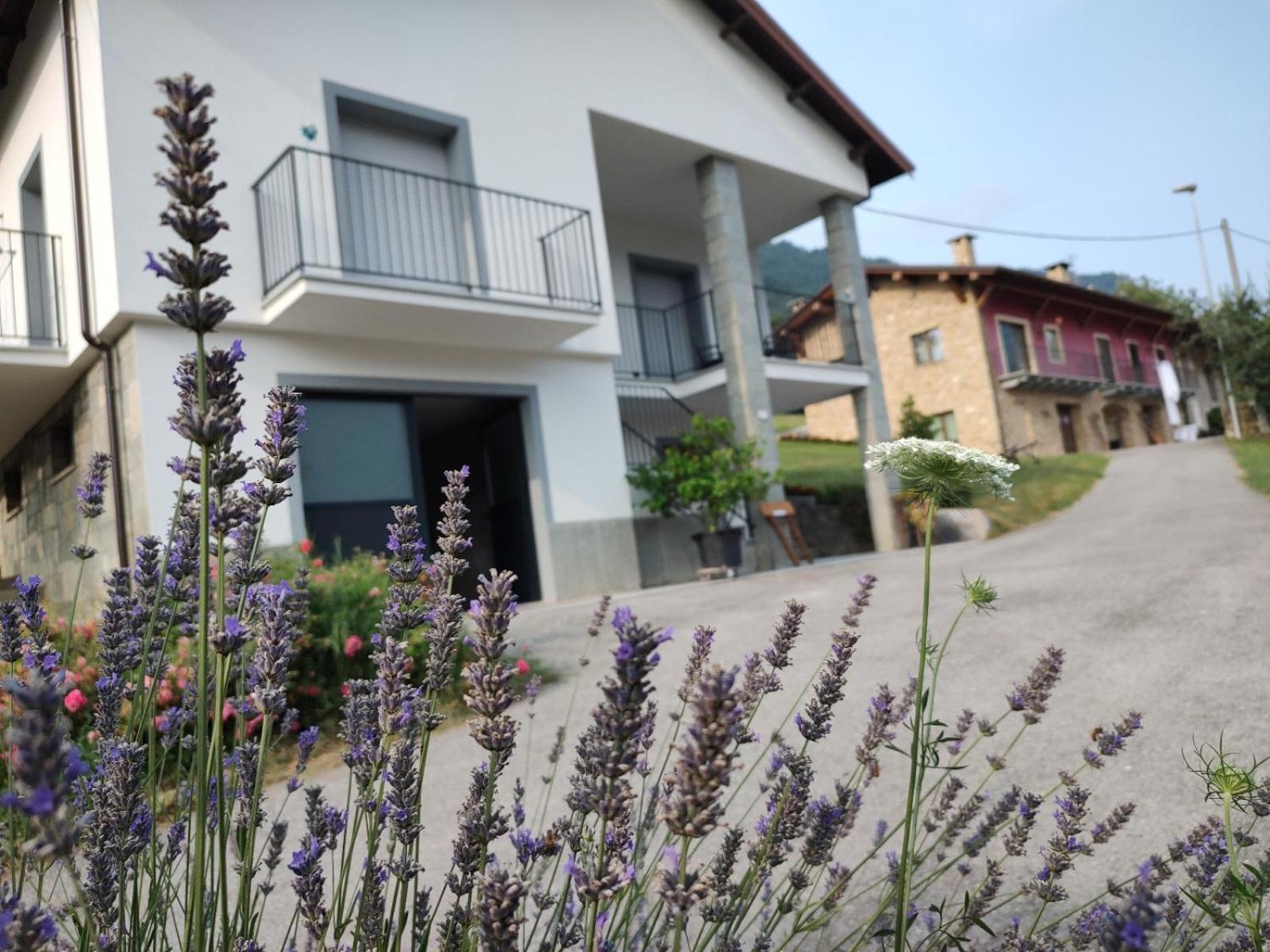 Ca' Dei Vescu - Villetta Per Vacanze Demonte Exterior photo